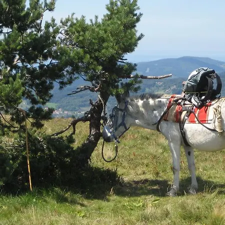 Les Mathieux La Cabane D'en